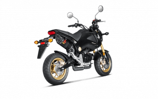 Akrapovic Slip-On Line Carbon Einddemper met E-keur Honda MSX 125 / Grom 2013 - 2015