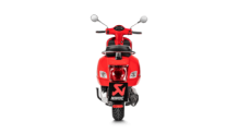 Akrapovic Slip-on Line RVS Einddemper met Euro4 Keuring Vespa GTS 150 2009 > 2016