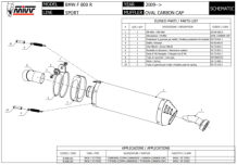 Mivv Oval Carbon Slip-on Einddemper met E-keur BMW F800R 2009 > 2020