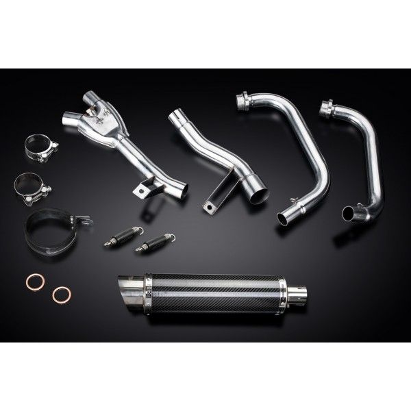 Delkevic volledig systeem Round Carbon 350mm - GW250 Inazuma (2013-2018)