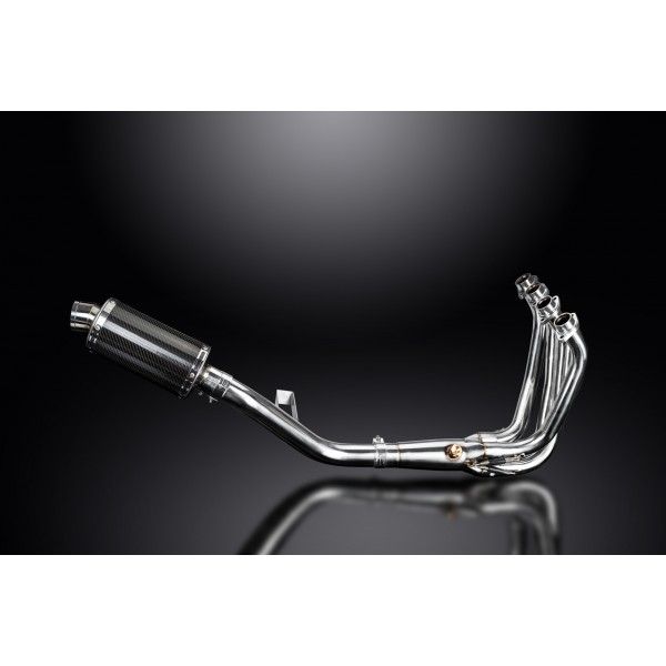 Delkevic volledig systeem Oval Carbon 225mm - Z900RS 2018-2020