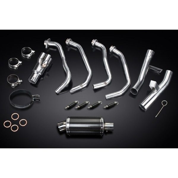 Delkevic volledig systeem Oval Carbon 225mm - KLZ1000 1000 VERSYS (2015-2018)