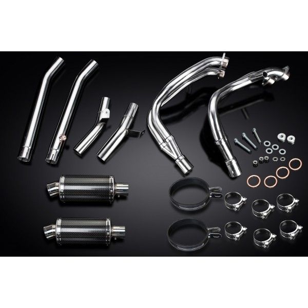 Delkevic volledig systeem Oval Carbon 225mm - GSX1300R HAYABUSA 1999-2007