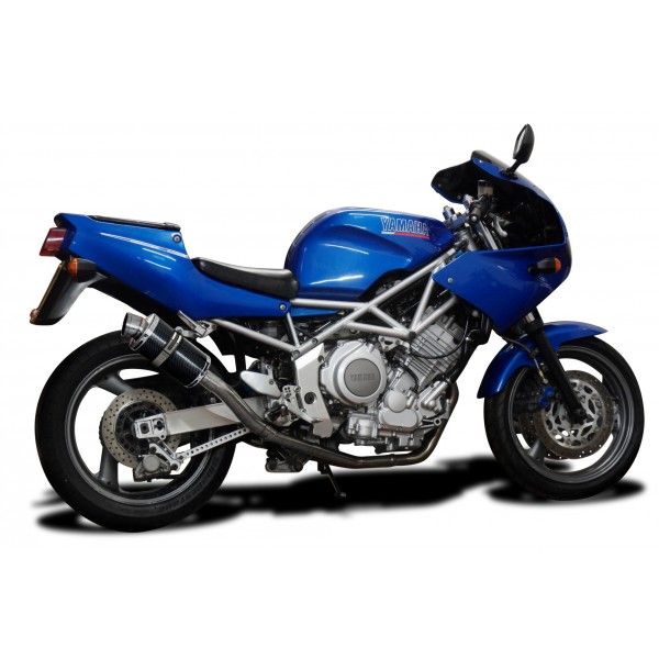 Delkevic slip-on kit Oval Carbon 225mm - TRX850 (1995-1999)