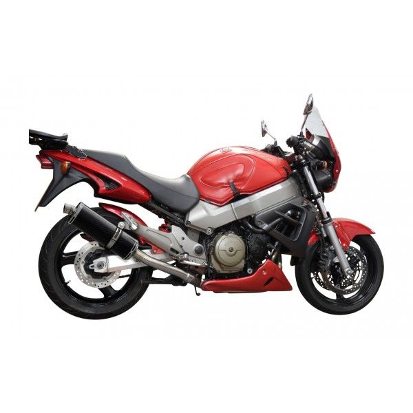 Delkevic volledig systeem Oval Carbon 350mm - X11 CB1100SF (1999-2002)