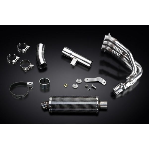 Delkevic volledig systeem Oval Carbon 350mm - Street Triple 675 (2013-2016)