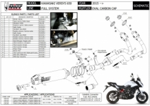 Mivv Oval Carbon Compleet 2in1 Uitlaatsysteem met E-keur Kawasaki Versys 650 2015 > 2020
