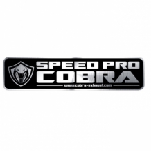 Speedpro Cobra RX77 RVS Polished Einddemper Set met E-keur Honda ST1300 Pan European 2002 2017