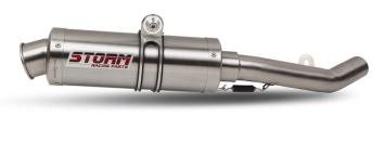 Storm By Mivv GP RVS Slip-On Einddemper Met E-keur YAMAHA FZS 1000 FAZER 2001 - 2005